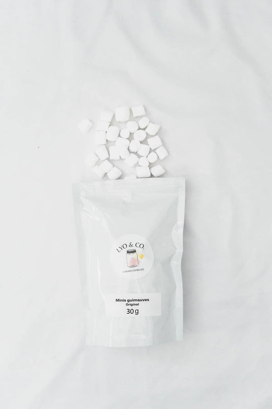 Spaceman Bonbons lyophilisés (Space Creamz – Jumbo Spaceman Bonbons lyophilisés (Space Creamz – Jumbo